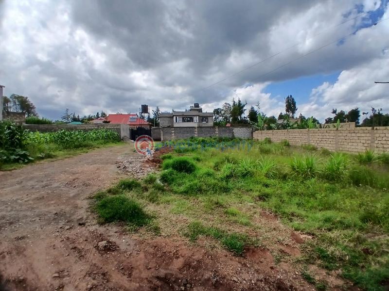 Residential Land For Sale Migumo Ini 800 Meters From The Tarmac Road Kikuyu Kiambu - 4