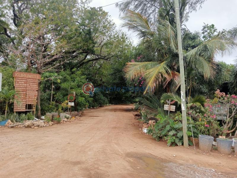 Land For Sale Vipingo Prime Land – Kuruwitu Ocean Front Watamu Kilifi - 2