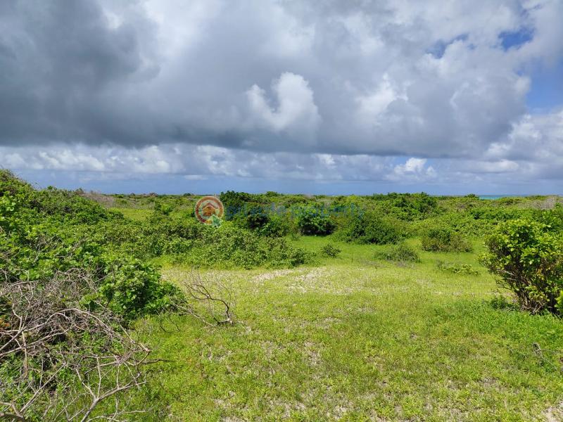 Land For Sale Ocean Front Watamu Kilifi - 4