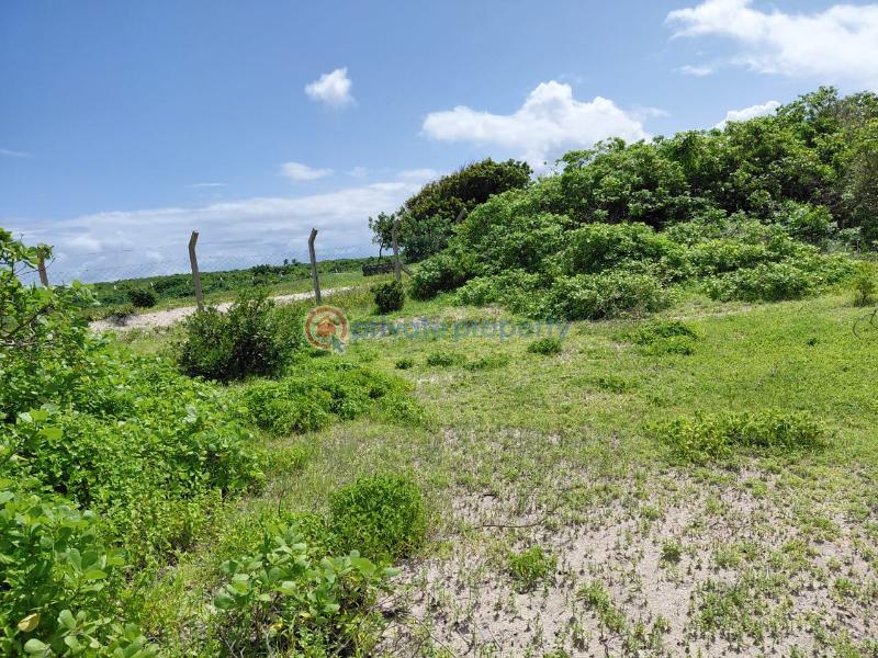 Land For Sale Ocean Front Watamu Kilifi - 15