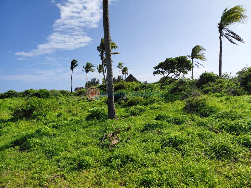 Land For Sale Watamu Kilifi - 44