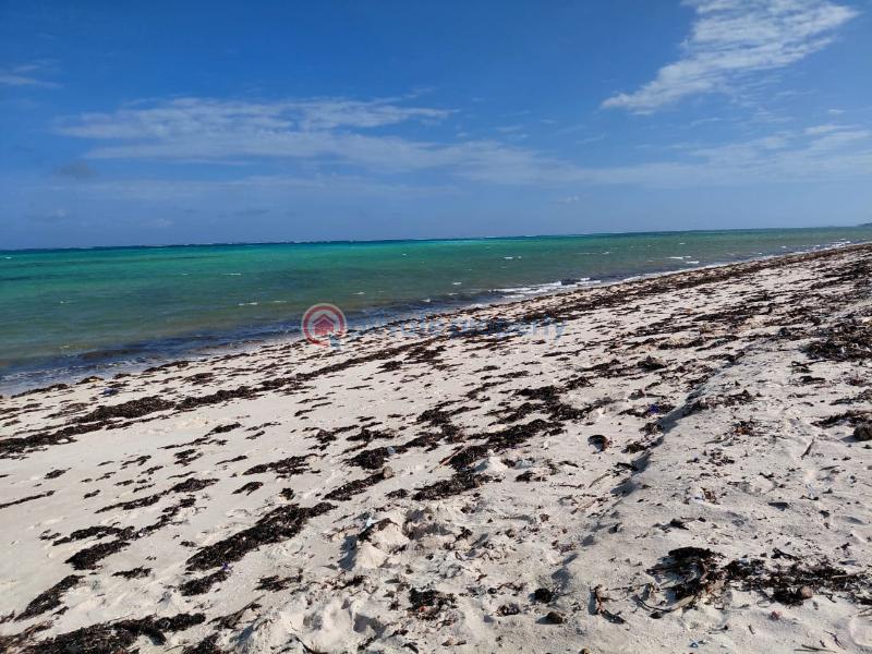 Land For Sale Watamu Ocean Front Kilifi Jacaranda Beach. Watamu Kilifi - 29