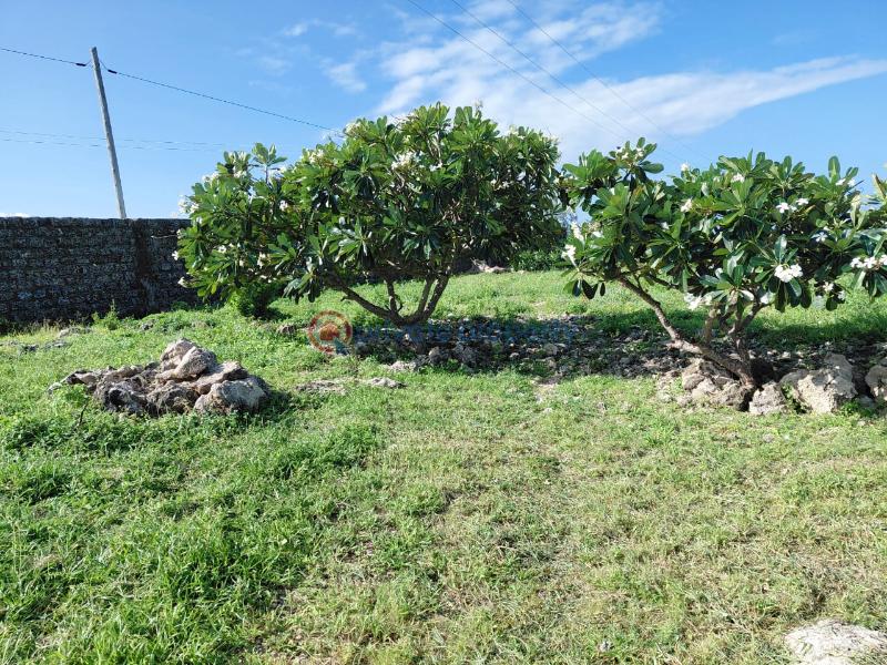 Land For Sale Watamu Ocean Front Kilifi Ocean Front Watamu Kilifi - 38