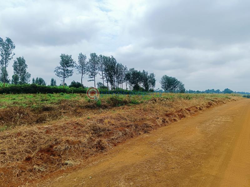 Industrial Land For Sale Zuri Springs Estate Juja Kiambu - 4