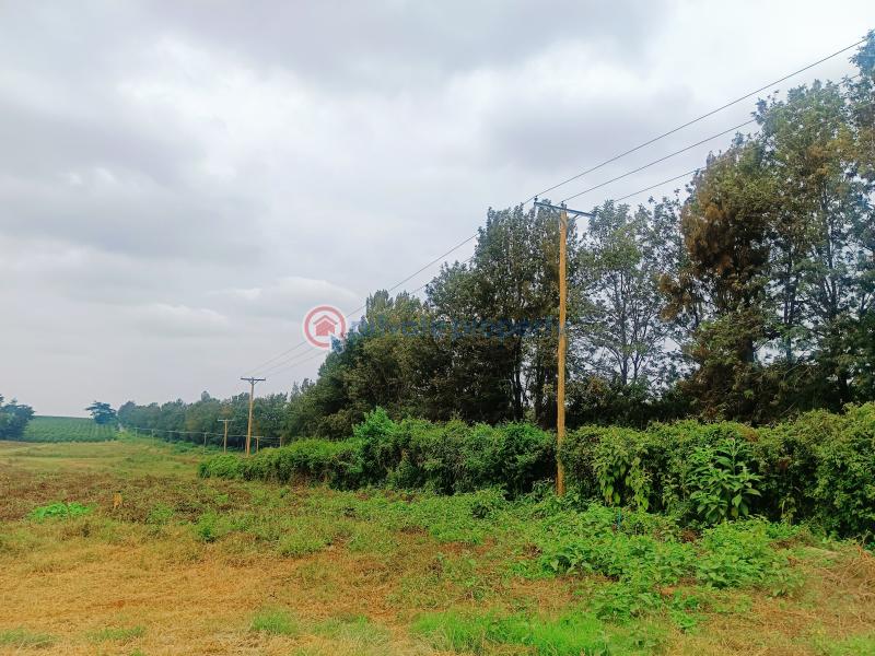 Industrial Land For Sale Zuri Springs Estate Juja Kiambu - 9