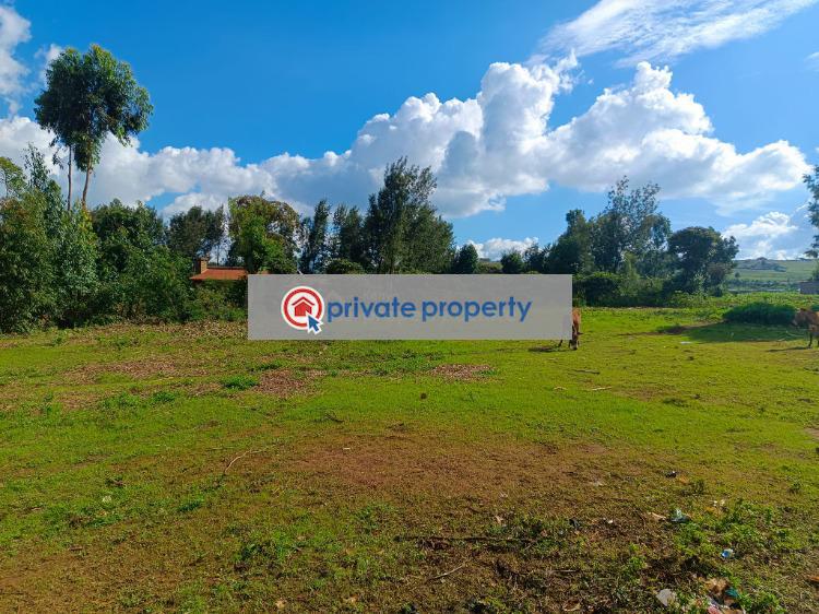 Residential Land For Sale &nbsp;riu Nderi Gikambura Kikuyu Kiambu - 7