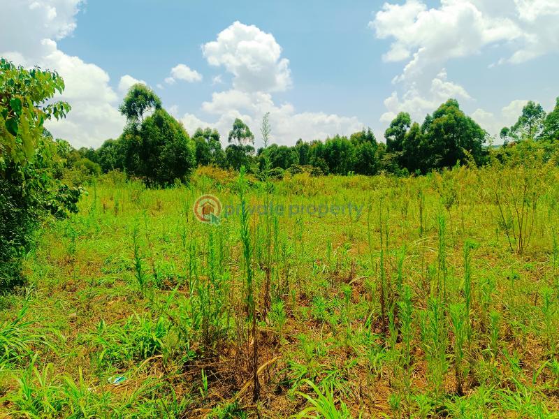 Residential Land For Sale Riu Nderi Gikambura Kikuyu Kiambu - 16