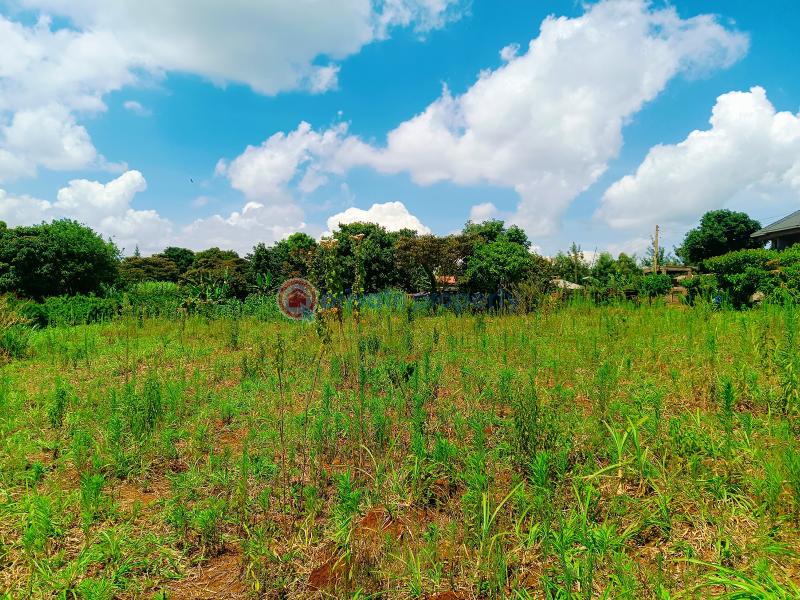 Residential Land For Sale Riu Nderi Gikambura Kikuyu Kiambu - 13