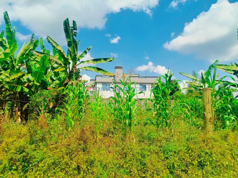 Residential Land For Sale Riu Nderi Gikambura Kikuyu Kiambu - 21