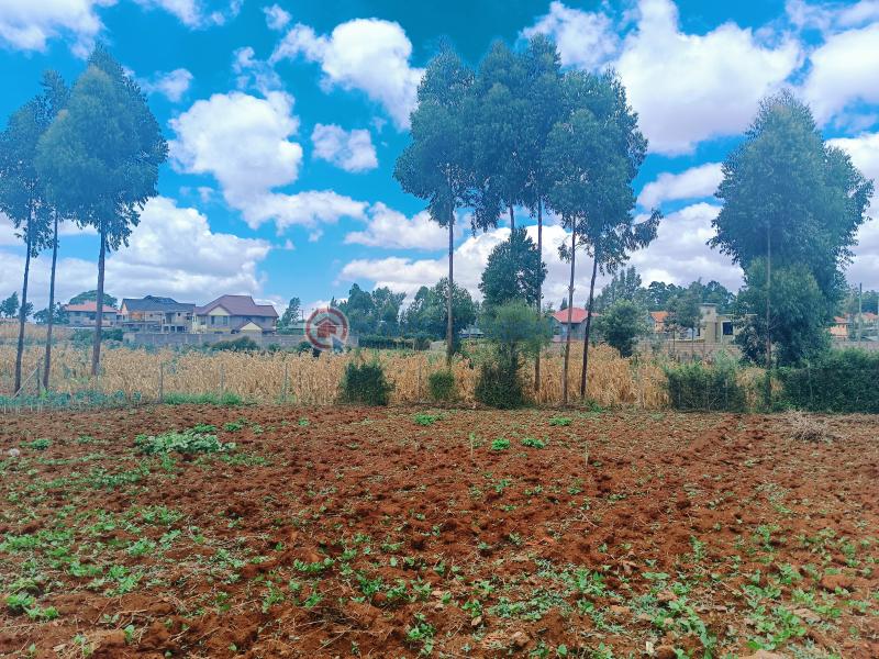 Residential Land For Sale Riu Nderi Gikambura Kikuyu Kiambu - 22