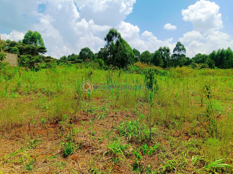 Residential Land For Sale Riu Nderi Gikambura Kikuyu Kiambu - 15
