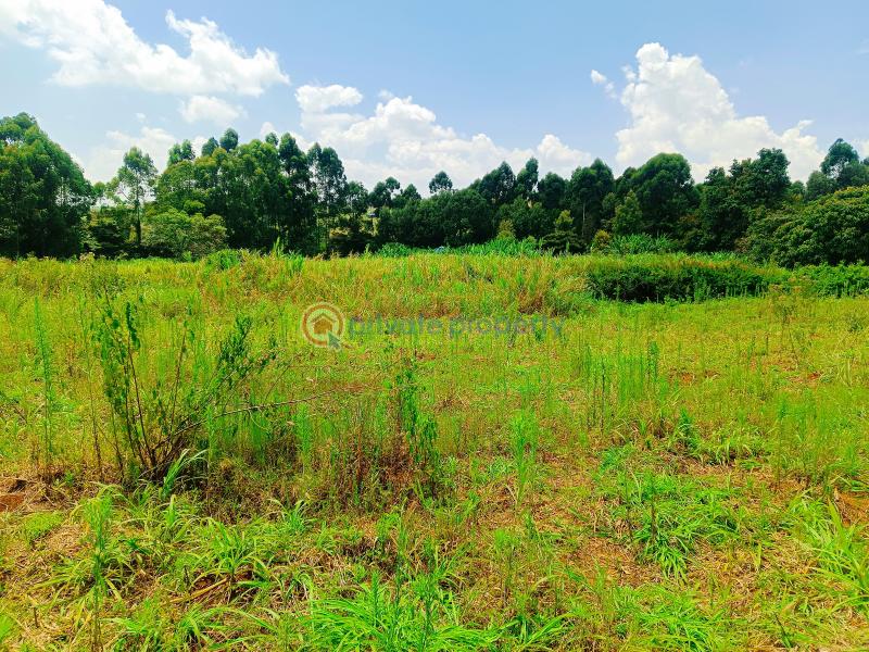 Residential Land For Sale Riu Nderi Gikambura Kikuyu Kiambu - 17