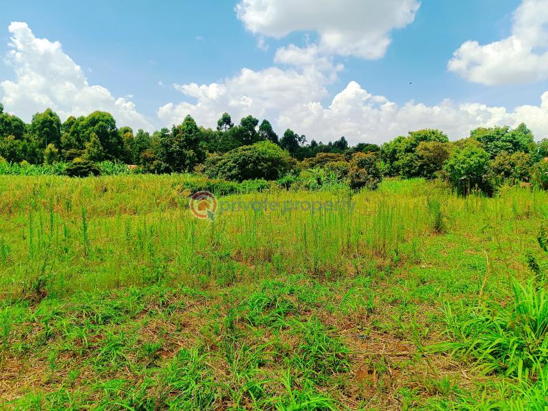 Residential Land For Sale Riu Nderi Gikambura Kikuyu Kiambu - 18