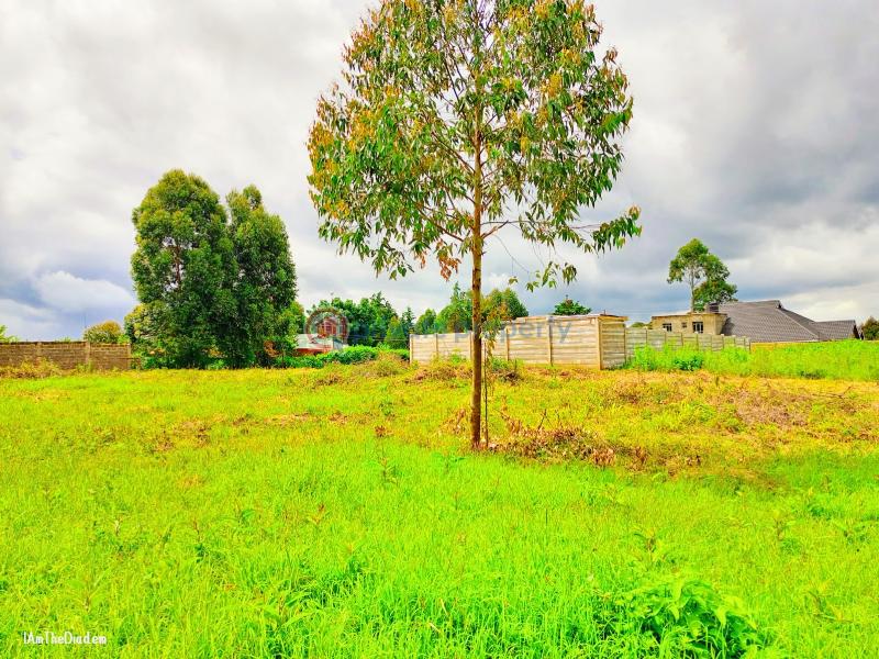 Residential Land For Sale Ondiri Kikuyu Kiambu - 5
