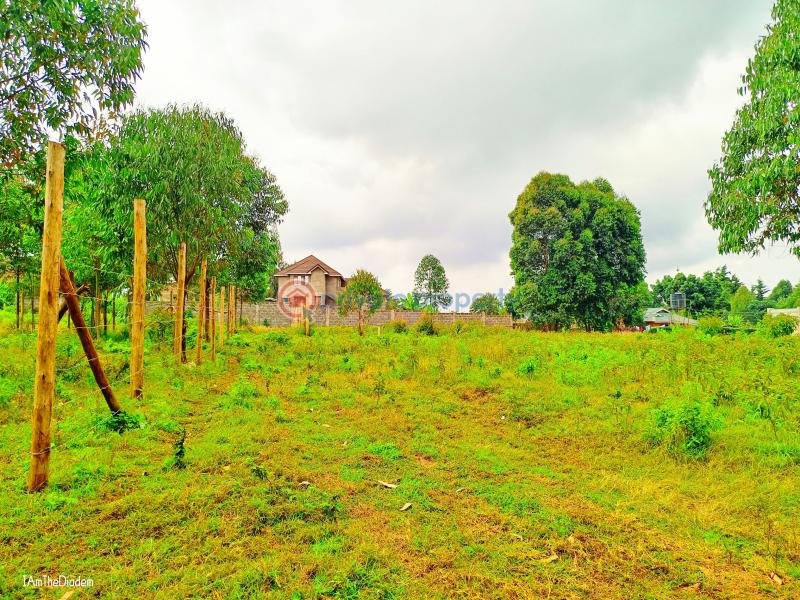 Residential Land For Sale Ondiri Kikuyu Kiambu - 4