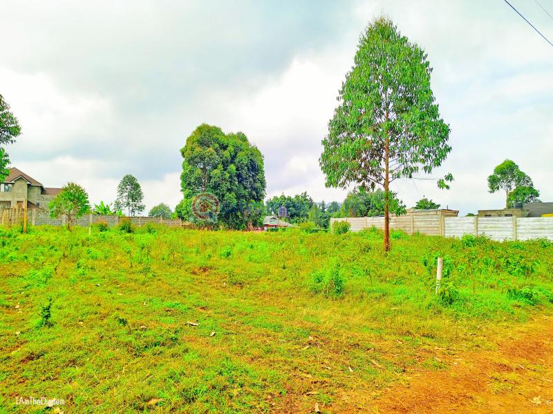 Residential Land For Sale Ondiri Kikuyu Kiambu - 3