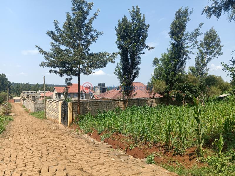Residential Land For Sale Rio Plainsview Estate Gikambura Kikuyu Kiambu - 8