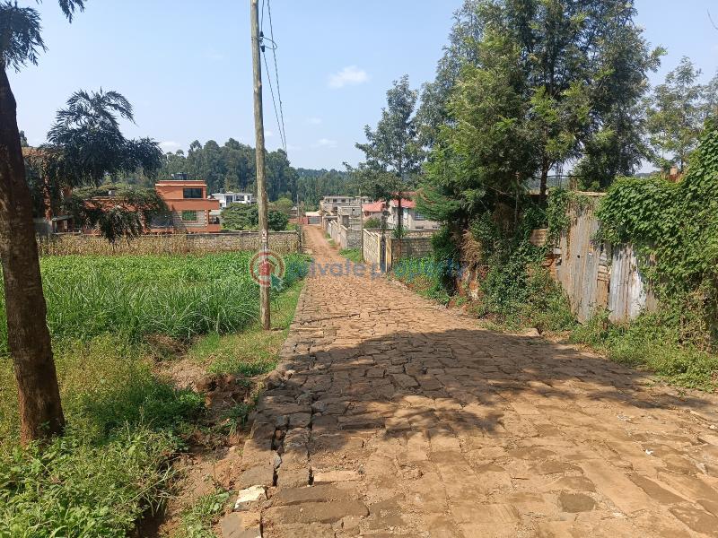 Residential Land For Sale Rio Plainsview Estate Gikambura Kikuyu Kiambu - 7