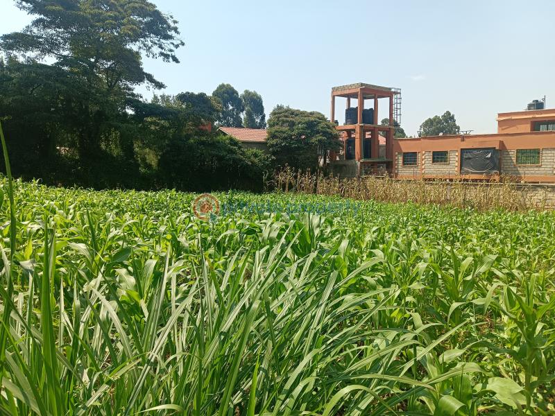 Residential Land For Sale Rio Plainsview Estate Gikambura Kikuyu Kiambu - 3