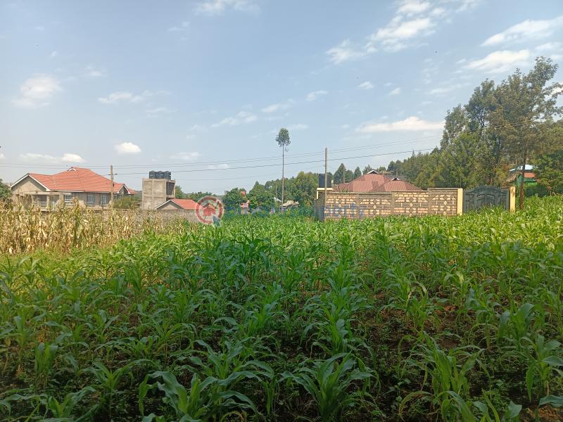 Residential Land For Sale Rio Plainsview Estate Gikambura Kikuyu Kiambu - 2