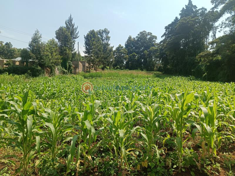 Residential Land For Sale Rio Plainsview Estate Gikambura Kikuyu Kiambu - 6