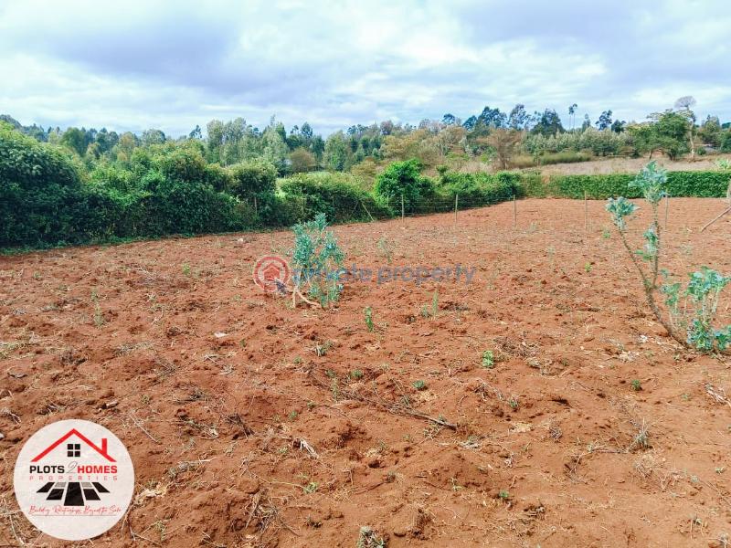 Residential Land For Sale Gicharani Gikambura Kikuyu Kiambu - 6