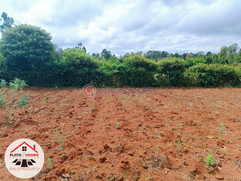 Residential Land For Sale Gicharani Gikambura Kikuyu Kiambu - 7