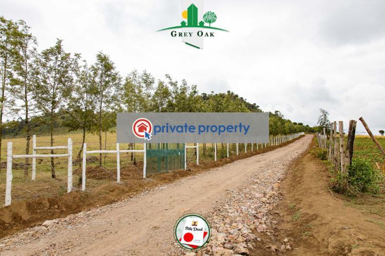 Mixed use Land For Sale &nbsp;kongoni Naivasha East Nakuru - 7