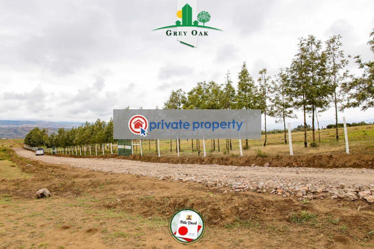 Mixed use Land For Sale &nbsp;kongoni Naivasha East Nakuru - 6