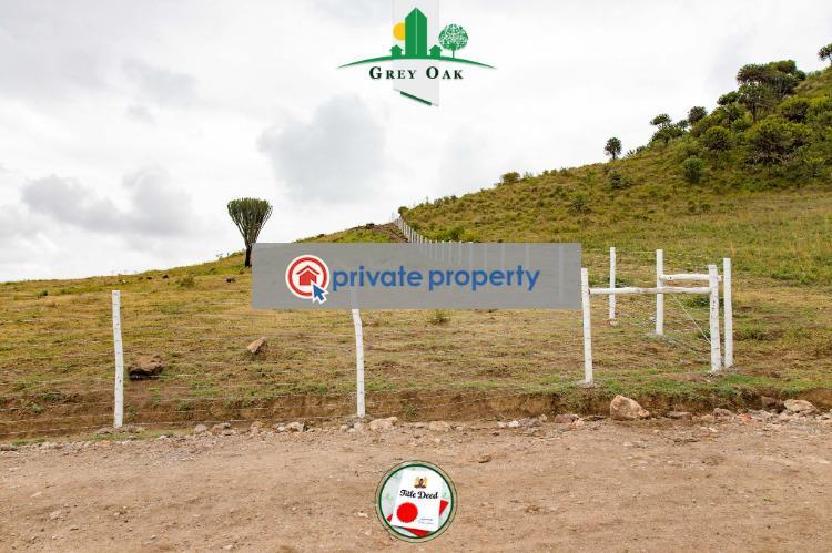 Mixed use Land For Sale &nbsp;kongoni Naivasha East Nakuru - 3