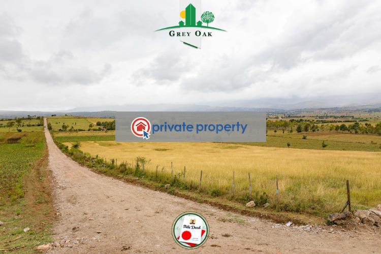 Mixed use Land For Sale &nbsp;kongoni Naivasha East Nakuru - 4