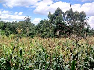 Commercial Land For Sale Makuyu Muranga