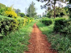 Commercial Land For Sale Gatanga Muranga