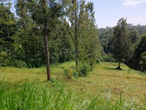 Land For Sale Kahuro, Kiharu – Murang’a murang'a County. Makuyu Muranga
