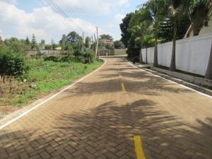 Land For Sale Mushroom Gardens Thindigua Nairobi
