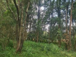 Land For Sale Nairobi Karen 