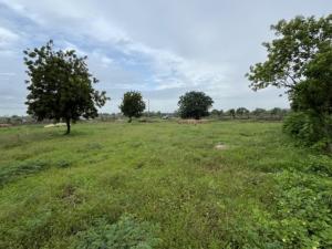 Land For Sale Mnarani Kilifi