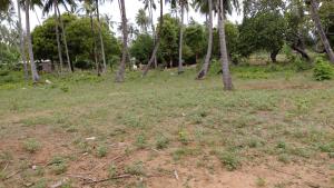 Land For Sale Ocean Front Watamu Kilifi