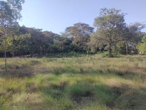 Land For Sale Forest Edge Rd Karen Nairobi