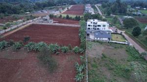 Land For Sale Kentmere Tigoni Tigoni. Kiambu