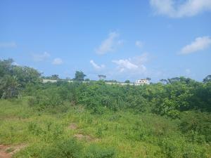 Land For Sale Vipingo Marijani Vipingo Beach Shimo La Tewa Kilifi