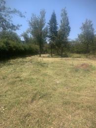 Land For Sale Nairobi Karen 