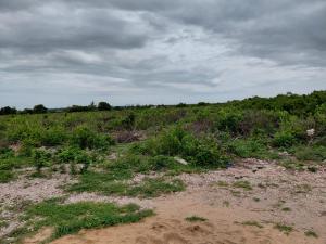 Land For Sale Watamu Ocean Front Ocean Front Watamu Kilifi