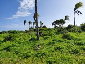 Land For Sale Watamu Ocean Front Ocean Front Watamu Kilifi