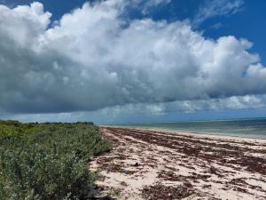 House For Sale Watamu Ocean Front Ocean Front Watamu Kilifi