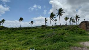 Land For Sale Ocean Front Watamu Kilifi