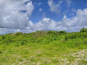 Land For Sale Watamu Ocean Front Watamu Kilifi