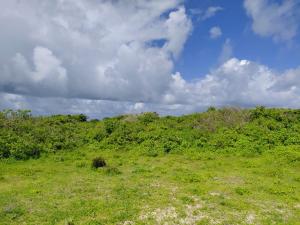 Land For Sale Watamu Ocean Front Watamu Kilifi