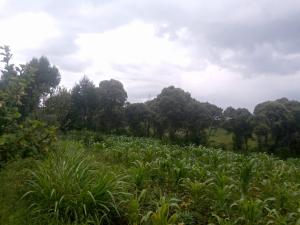 Land For Sale Naiavsha Naivasha East Nakuru