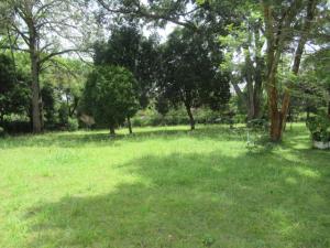 Land For Sale Karen Nairobi